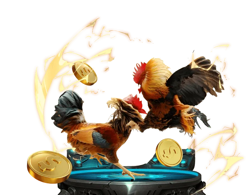 Chứng nhận và giải thưởng zalv777